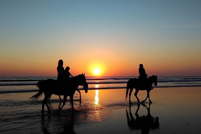 Essaouira Activities: Discover Essaouira by Quad - A route built around contrast