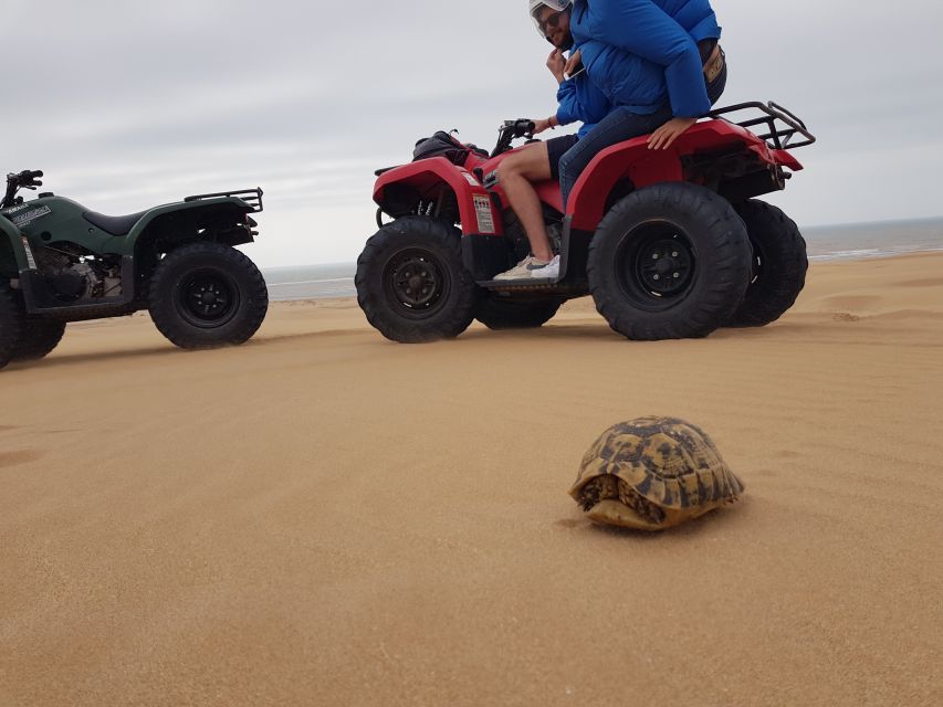 Essaouira P12 : 1h Quad bike tour and 1h dromedary Ride - Safety First With Hussein and the Quad Bikes