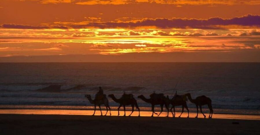 Essaouira P12 : 1h Quad bike tour and 1h dromedary Ride - Cap Sim Lighthouse and Sidi Kaouki