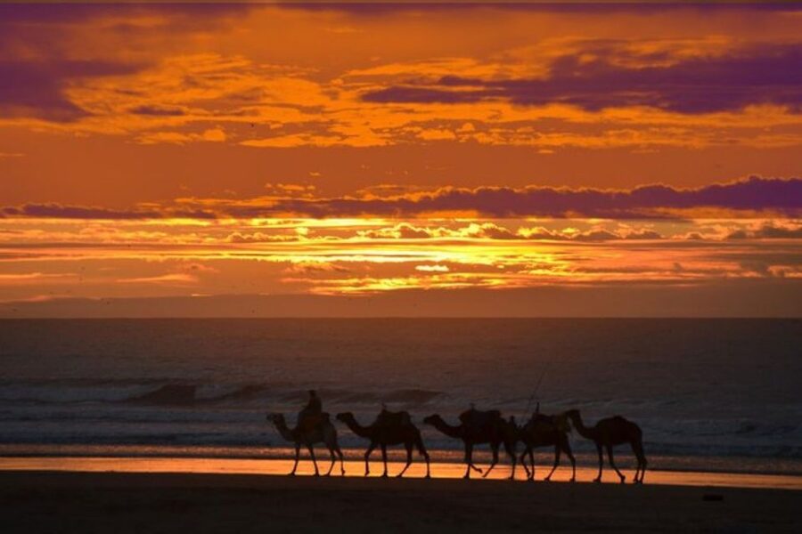 Essaouira P12 : 1h Quad bike tour and 1h dromedary Ride - Practical Tips Before You Go
