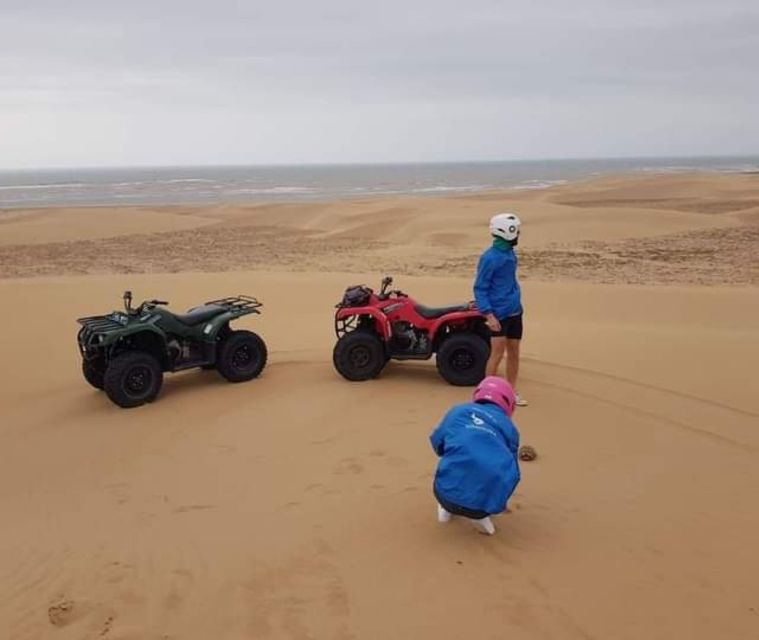 Essaouira P12 : 1h Quad bike tour and 1h dromedary Ride - What the Strongest Praise Gets Right