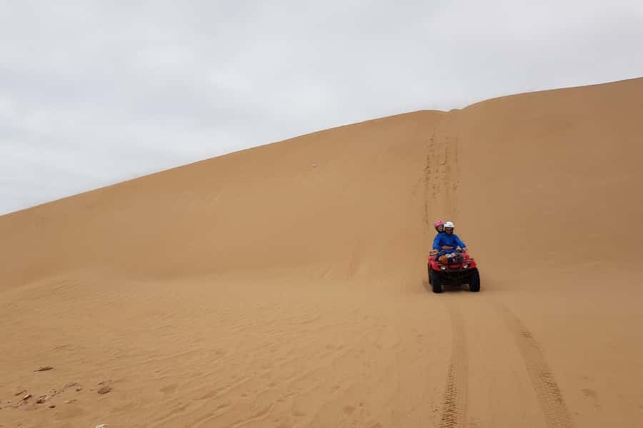 Essaouira P3: Quad tour forest beach dunes (free transfer) - Who will enjoy this most