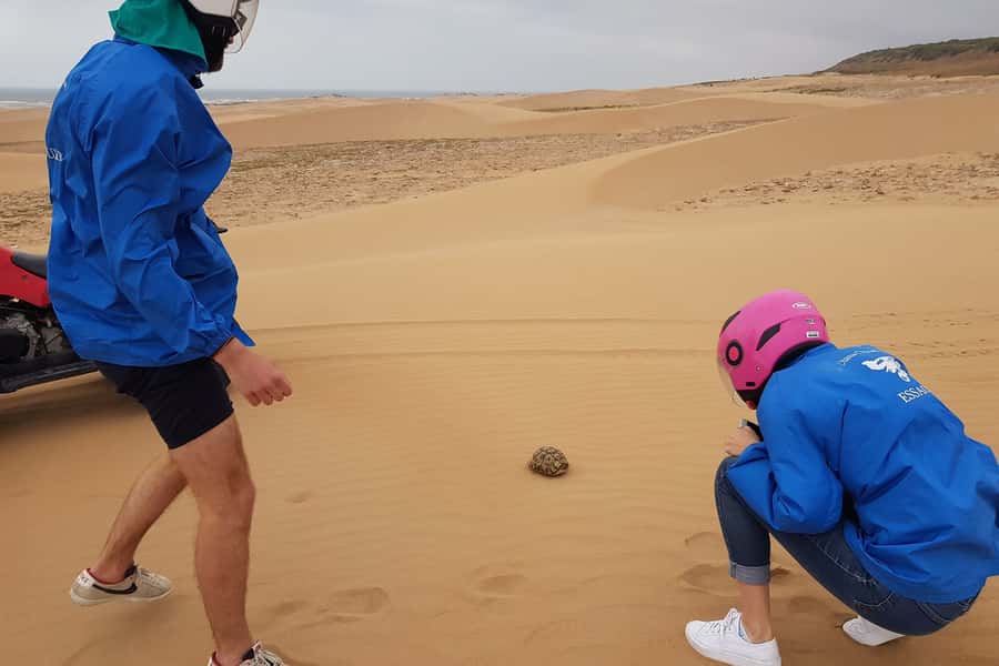 Essaouira P3: Quad tour forest beach dunes (free transfer) - Why this Essaouira quad ride works