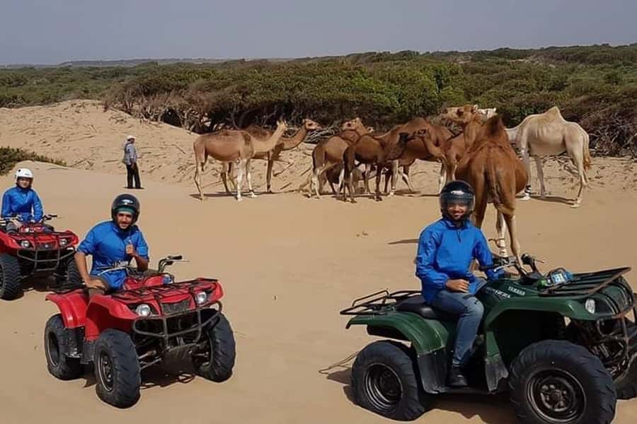 Essaouira P3: Quad tour forest beach dunes (free transfer) - Dar Sultan Palace and Bourj El Baroud