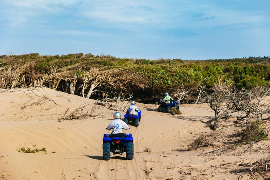 Essaouira Sand Dunes: Half Day Quad Bike Tour - Is $79 good value?