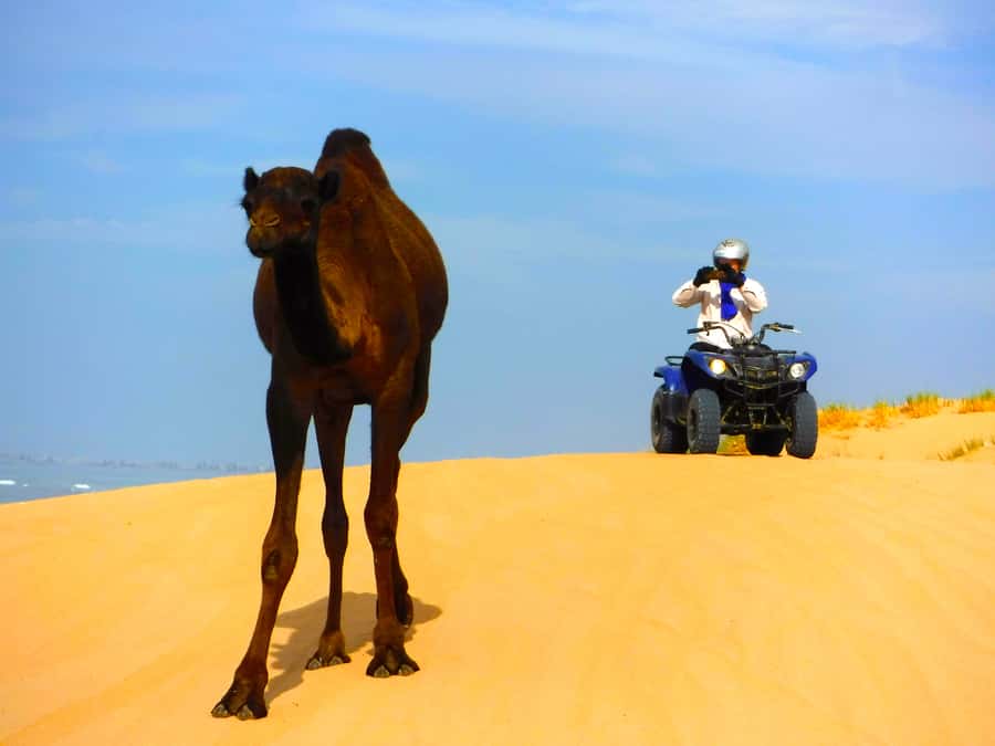 Essaouria: Beach & Big Dunes 2-Hour Quad Biking Tour - The viewpoint and the ten-minute break