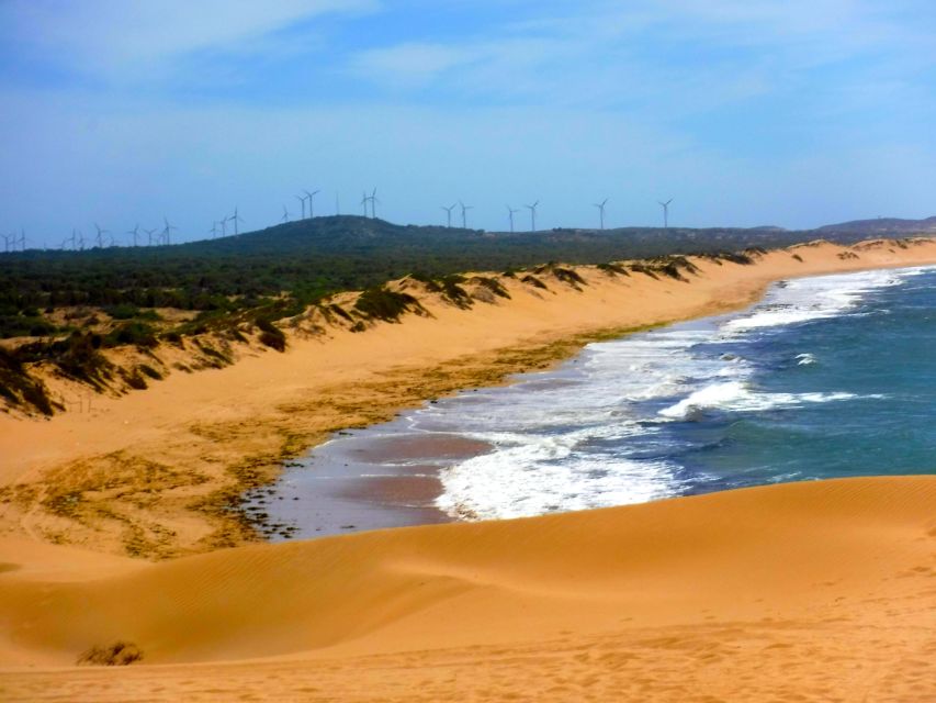 Essaouria: Beach & Big Dunes 2-Hour Quad Biking Tour - What the $64 price really covers