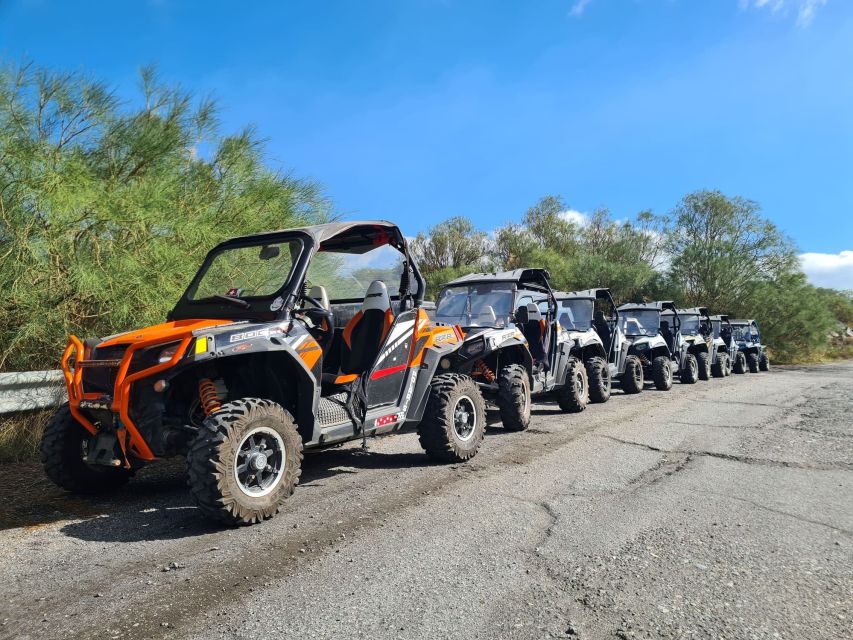 Etna Buggy 4x4 Tour - Mount Zoccolaro and the Valle del Bove