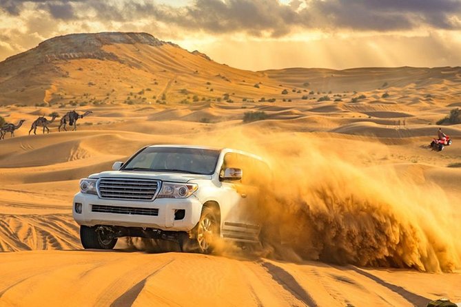 Evening Desert Adventure: Quad Biking, Sandboarding & Camel Ride - Camel riding and a slower view of the desert