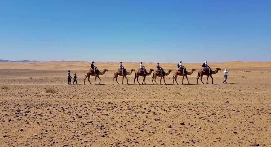 Evening Marrakech: Agafay Desert Quad , Camel & Dinner Shows - What the $23 price really covers