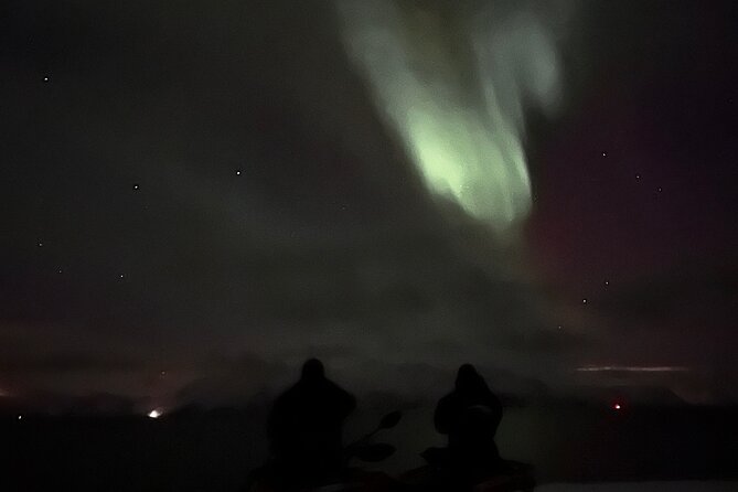 Evening Tour and Aurora Borealis Sightseeing in Norway by ATV - Is $257.24 a fair price?