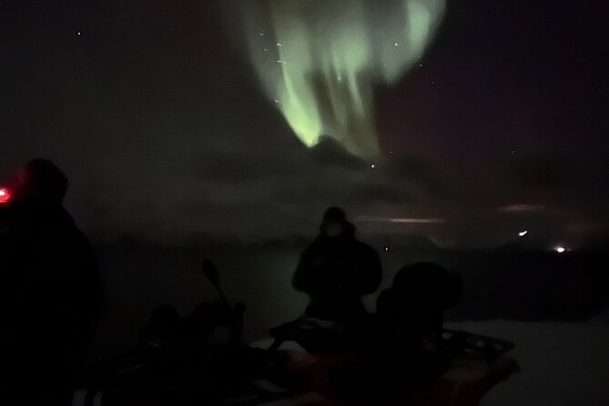 Evening Tour and Aurora Borealis Sightseeing in Norway by ATV - Who will enjoy this most?