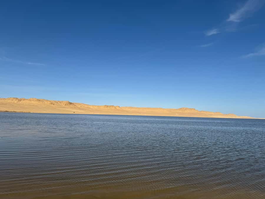 Fayoum: Qarun Sahara Safari With( ATV ) Quad bike From Cairo - What makes this Fayoum day trip worth your time