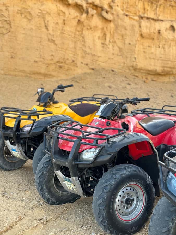 Fayoum: Qarun Sahara Safari With( ATV ) Quad bike From Cairo - Is $200 per person good value?