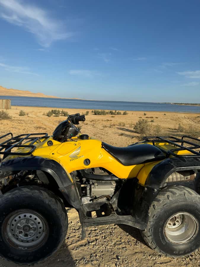 Fayoum: Qarun Sahara Safari With( ATV ) Quad bike From Cairo - Who should book this desert day?