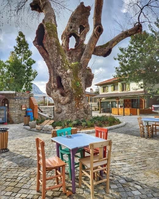 Fethiye Quad Safari Adventure - Bayir Village shows local life, honey, and the wishing tree