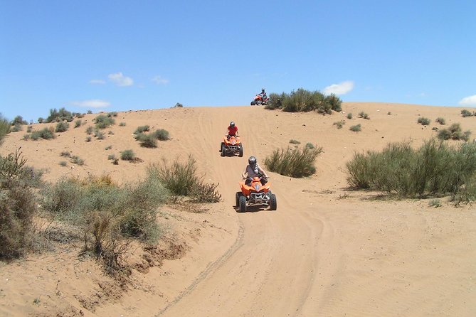 From Agadir: Quad Biking & Sand boarding halfday Experience - Is $81.30 a fair price?