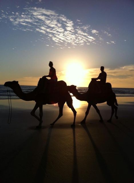 From Agadir/Taghazout: Buggy Safari Adventure & Moroccan Tea - What the rating tells you