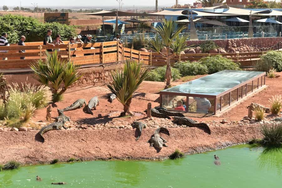 From Agadir/Taghazout: Buggy Safari Adventure & Moroccan Tea - What this experience is really like
