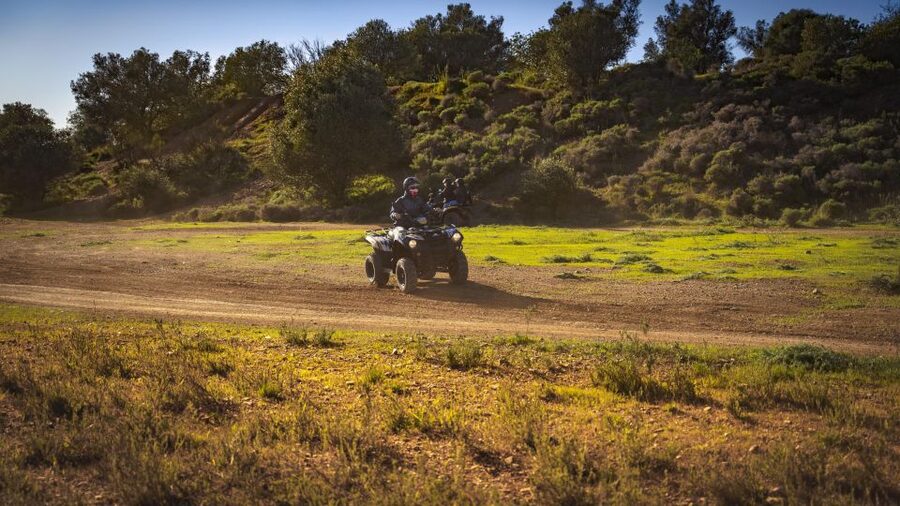 From Albufeira: Full-Day Off-Road Quad Tour - Guides, group size, and language support