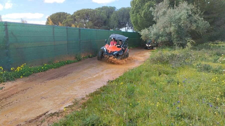 From Albufeira: Paderne Adventure Buggy Ride - Who should book this Paderne ride?