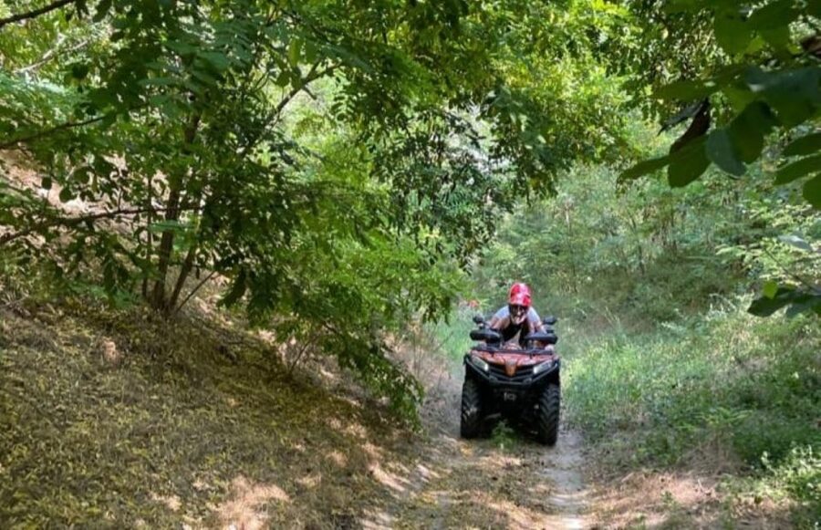 From Bucharest: Forest and Hills ATV Quad Bike Tour - What the views reveal about southern Romania
