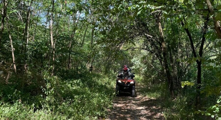 From Bucharest: Forest and Hills ATV Quad Bike Tour - Is $141 good value?