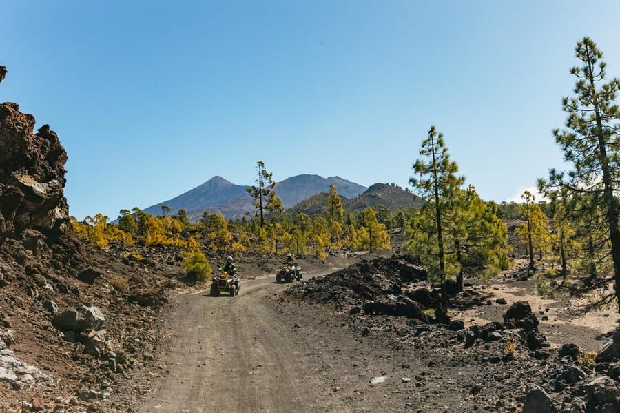 From Costa Adeje: Mount Teide Forest Off-Road Quad Bike Tour - Three hours among pines, lava, and mountain views