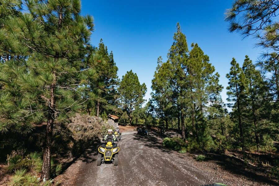 From Costa Adeje: Mount Teide Forest Off-Road Quad Bike Tour - Weather can reshape the route