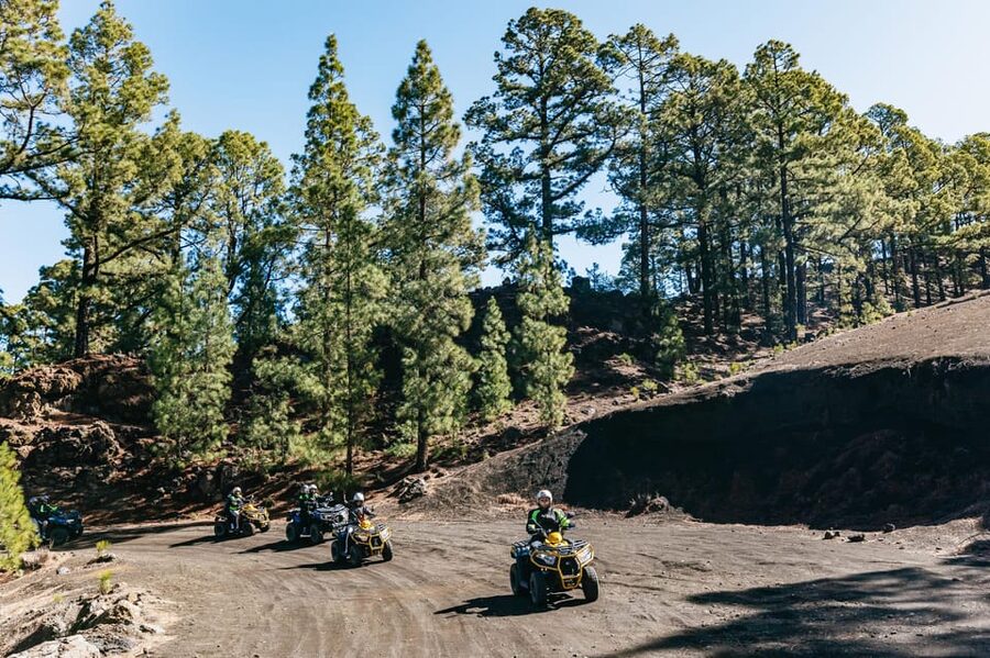 From Costa Adeje: Mount Teide Forest Off-Road Quad Bike Tour - Breaks, snacks, and the physical side of riding