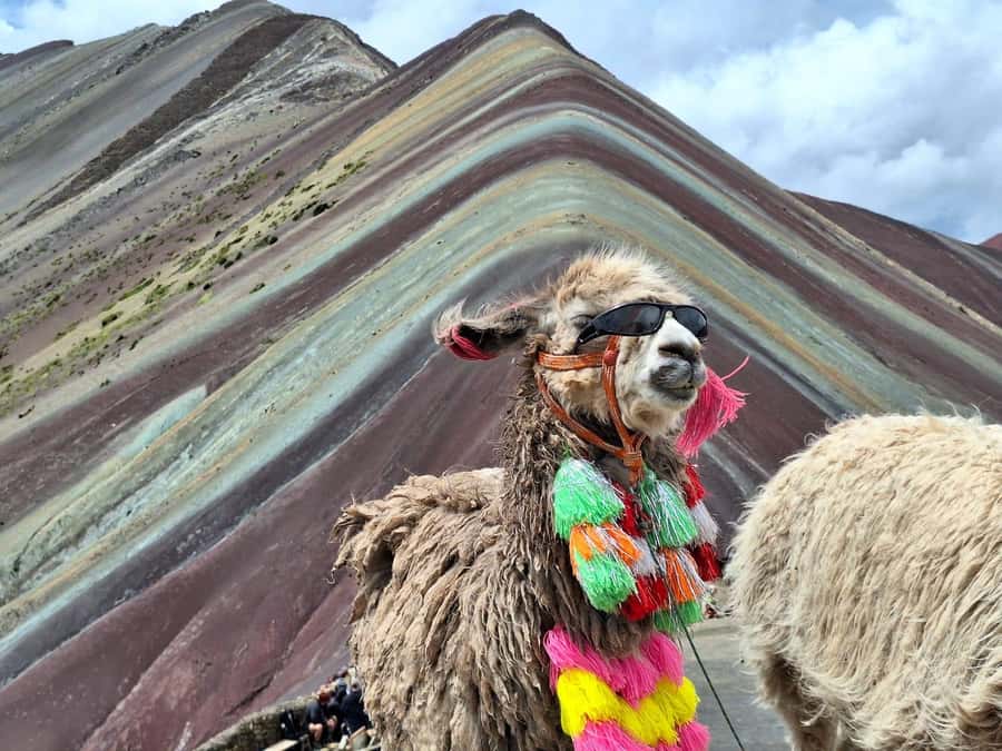 From cusco: Rainbow Mountain ATV Tour with meals - One hour at Rainbow Mountain