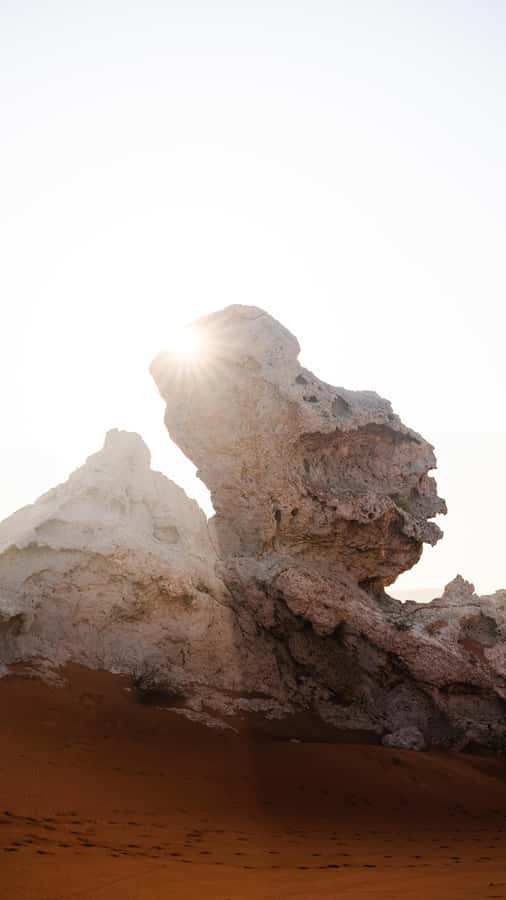 From Dubai: Zerzura Dune Buggy Experience & Fossil Discovery - Sandboarding on Camel Rock