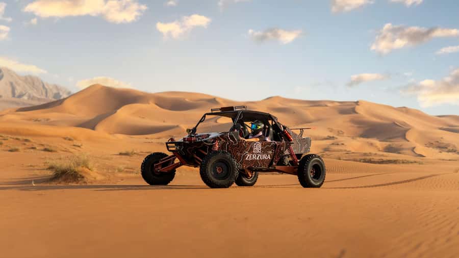 From Dubai: Zerzura Dune Buggy Experience & Fossil Discovery - Who will enjoy this outing most?
