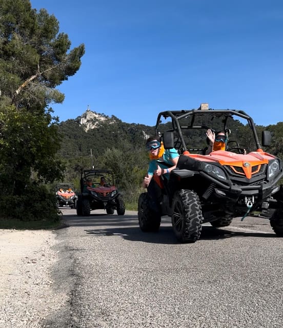 From East Mallorca: Guided Beach and Mountain Buggy Tour - Who will enjoy this tour most?