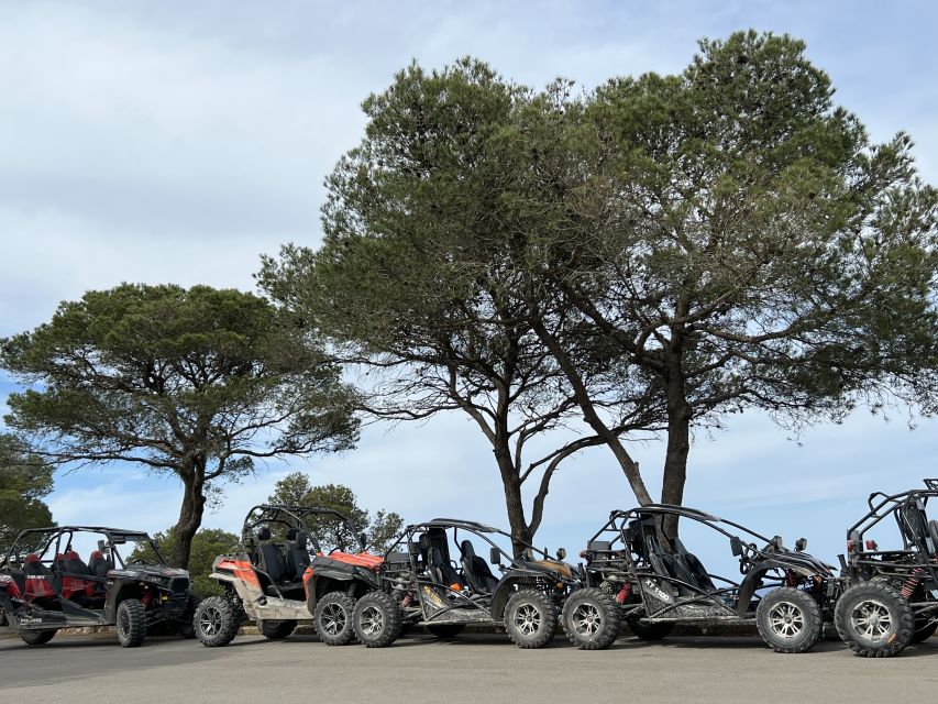 From East Mallorca: Guided Beach and Mountain Buggy Tour - Pickup times depend on your resort