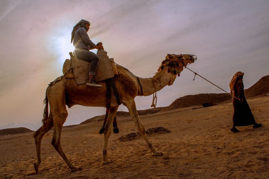 From El Gouna: Dry Canyon Quad Bike Morning Tour - Who will enjoy this morning trip