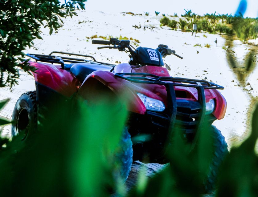 From El Gouna: Dry Canyon Quad Bike Morning Tour - Practical advice for a better morning