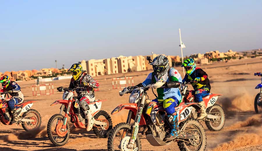 From Hurghada: El Gouna Quad and MX Bike Safari Tour - Should you book the El Gouna quad and MX safari?