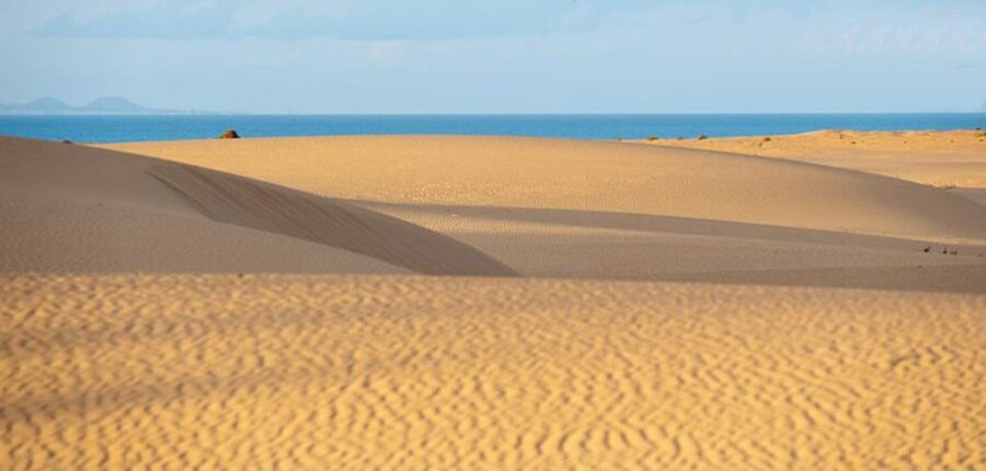 From Lanzarote: Corralejo Buggy Safari - Key points to know before booking