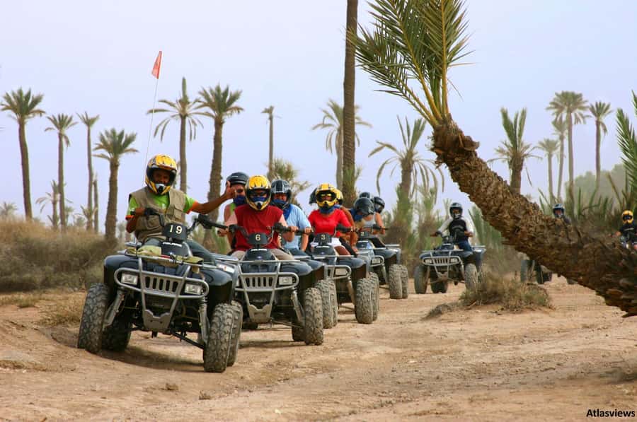 From Marrakech: Adventure Quad Ride in La Palmeraie - Key points to know before you book