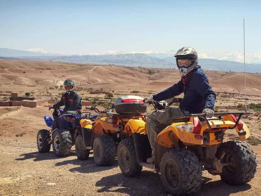 From Marrakech: Adventure Quad Ride in La Palmeraie - Who should book this half-day activity?