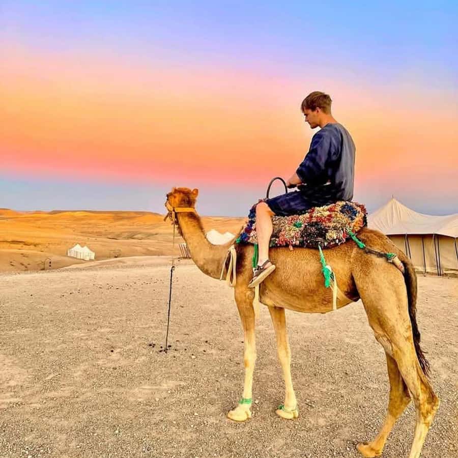 From Marrakech: Agafay Desert Dinner with Quad & Camel Ride - Quick points to know