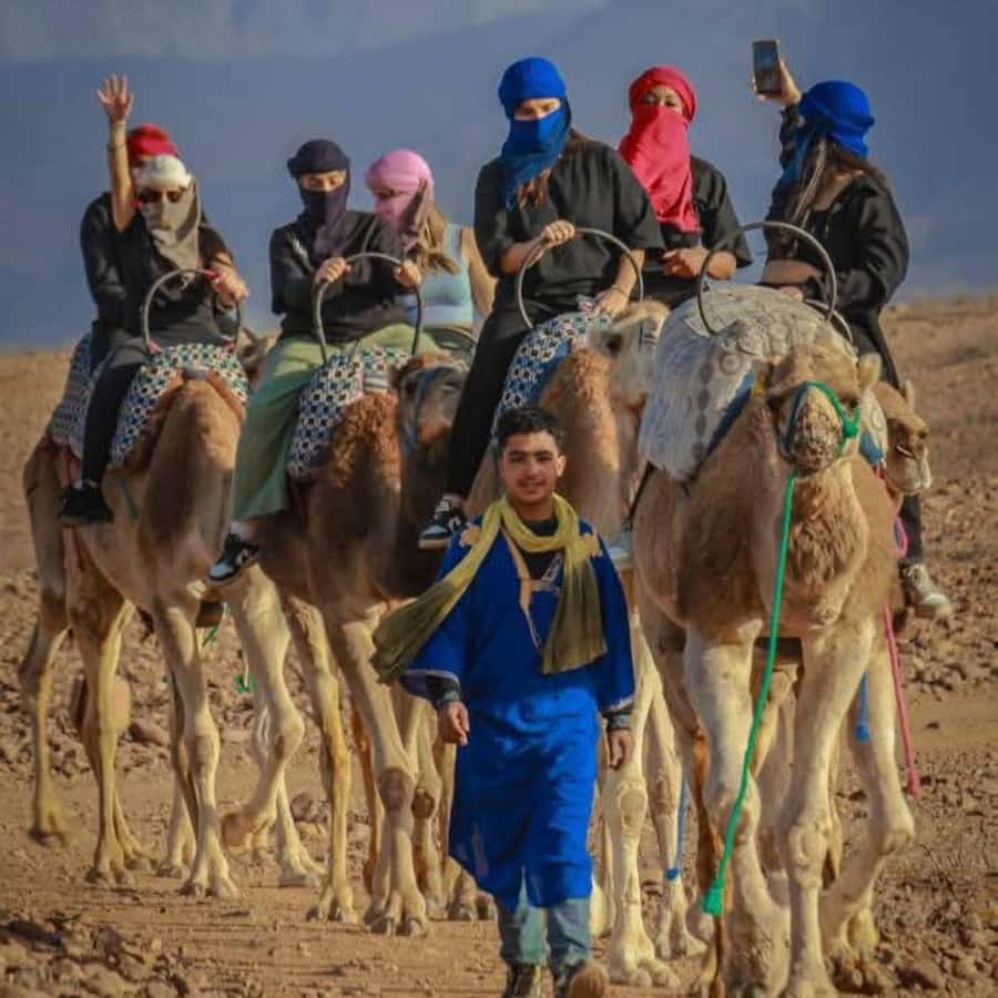 From Marrakech: Agafay Desert Dinner with Quad & Camel Ride - Camel ride or quad ride in Agafay