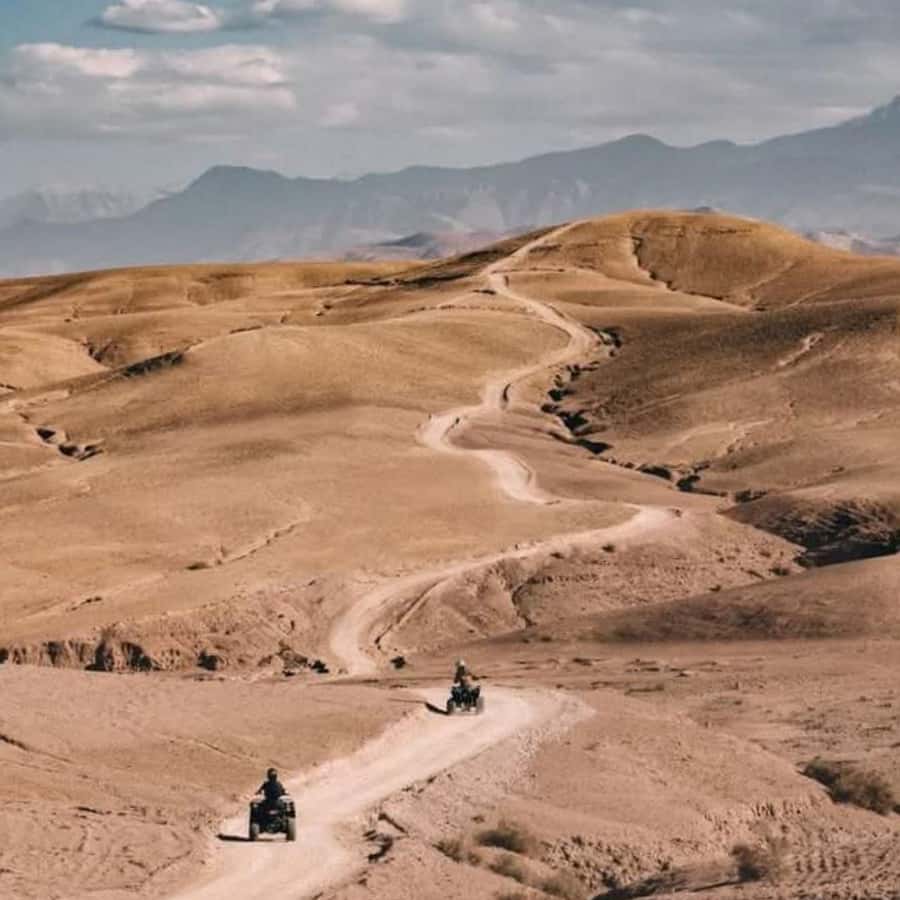 From Marrakech: Agafay Desert Dinner with Quad & Camel Ride - Moroccan dinner, mint tea, and evening entertainment