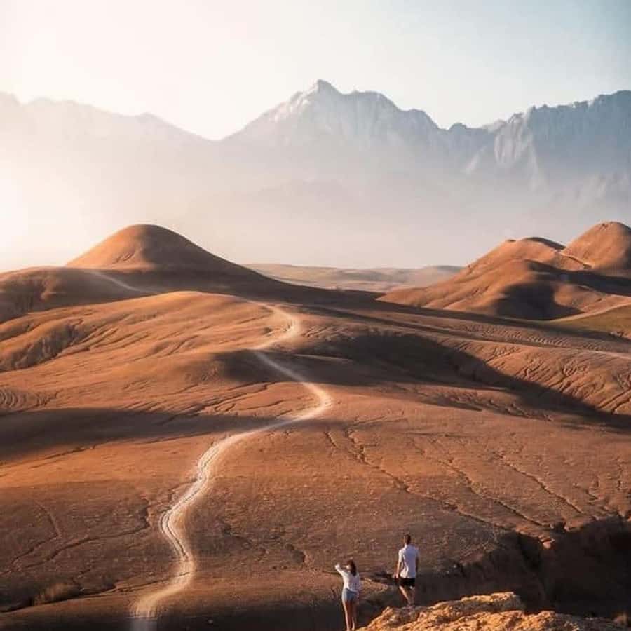 From Marrakech: Agafay Desert Dinner with Quad & Camel Ride - Guides, drivers, and family care