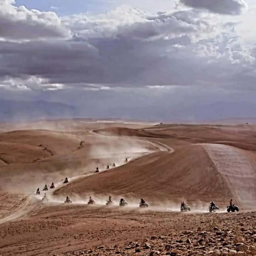From Marrakech: Agafay Desert Dinner with Quad & Camel Ride - What the $23 price really buys you