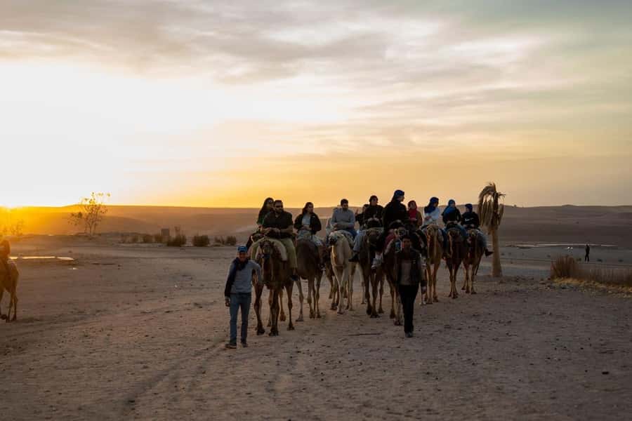 From Marrakech: Agafay Desert Quad Biking with Dinner & Show - Key points to know before booking