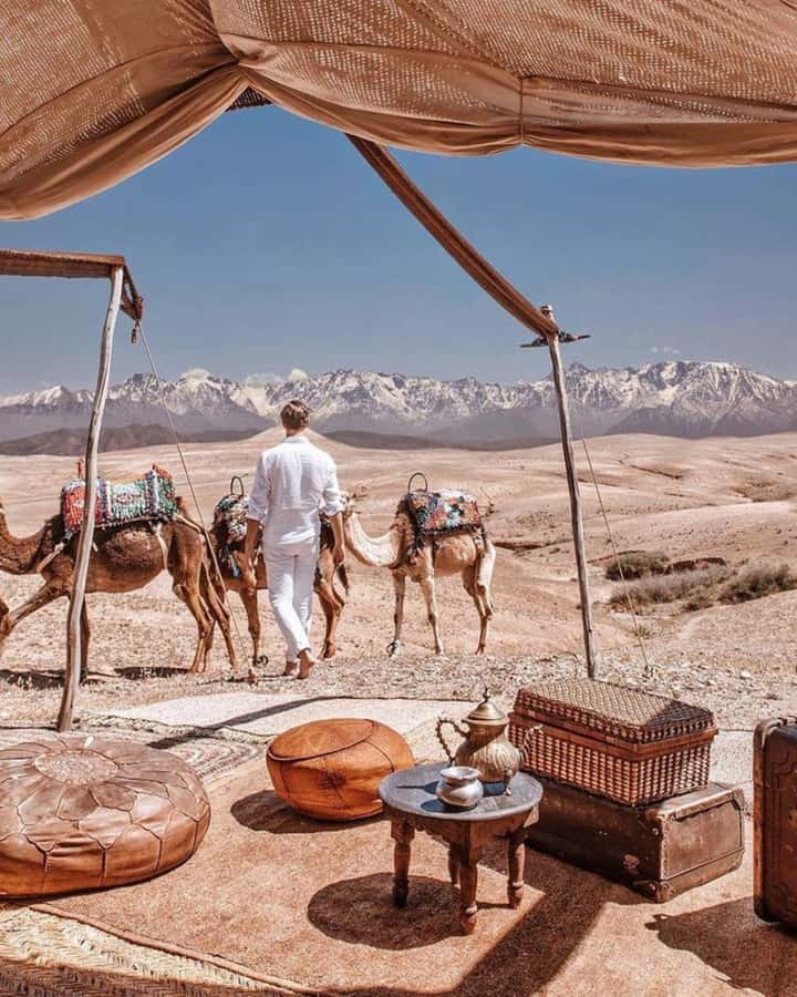 From Marrakech: Camel, Quad Bike Tour, Sunset, Dinner & Show - Agafay Desert is close, rocky, and very different from the Sahara