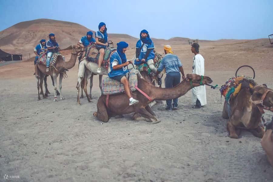 From Marrakech: Camel, Quad Bike Tour, Sunset, Dinner & Show - Quad biking adds the evening’s main burst of energy