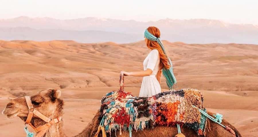 From Marrakech: Camel, Quad Bike Tour, Sunset, Dinner & Show - Guides can turn a basic package into a good evening